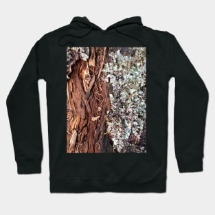 Moss Wood Bark Nature Forest Hoodie